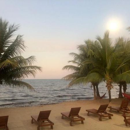 The White Horse Inn - Hopkins Village Beach Belize Zewnętrze zdjęcie