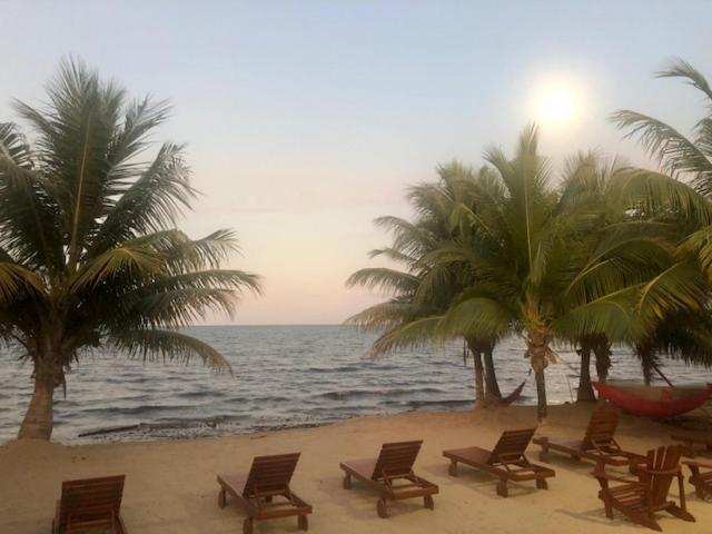 The White Horse Inn - Hopkins Village Beach Belize Zewnętrze zdjęcie