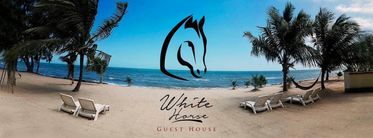 The White Horse Inn - Hopkins Village Beach Belize Zewnętrze zdjęcie